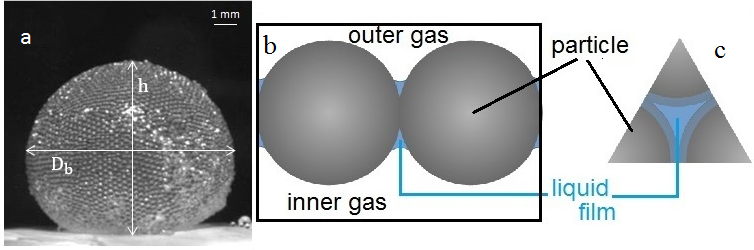 Figure 1: a vue de coté d’une bille de gaz (diameter des particules = 250 µm). b et c sont des schémas de la coque granulaire à l’échelle des particules.