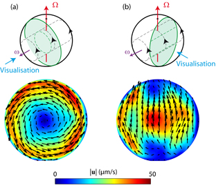 Propagation of a plane inertial wave